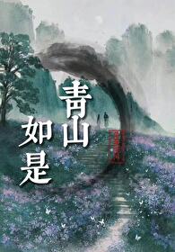 青山如是的小说