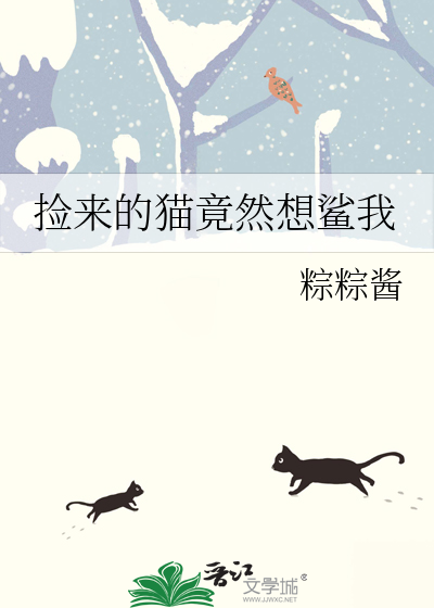 捡来的小猫有什么寓意