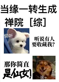 当缘一转生成禅院书包网