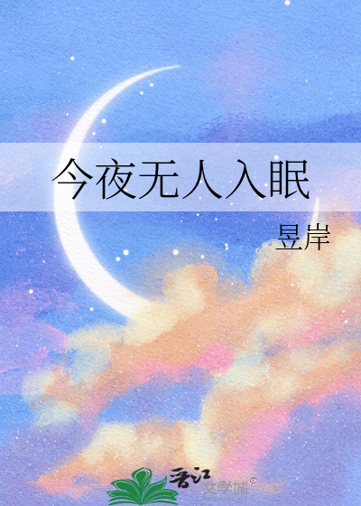 今夜无人入眠小说