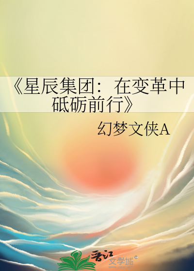 星辰控股集团有限公司干啥的