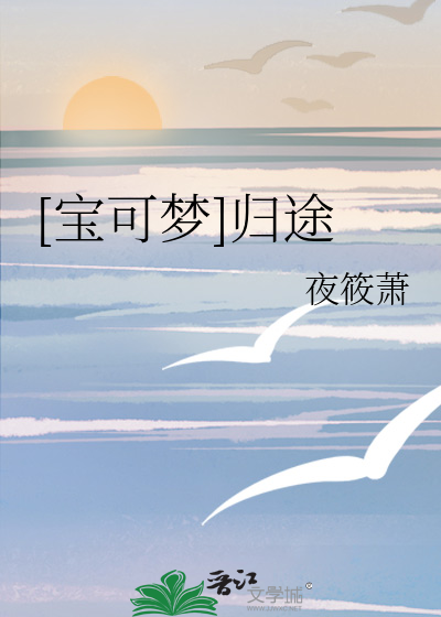 宝可梦:旅途 动画片