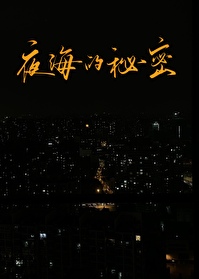 夜海的图片大全