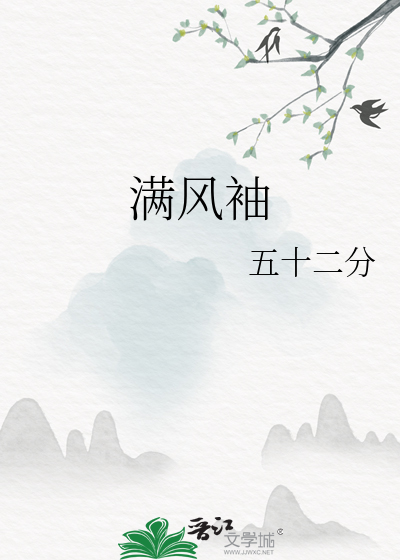 满风袖