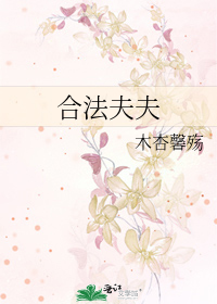 合法夫夫