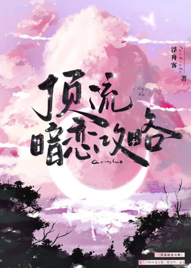 顶流暗恋攻略